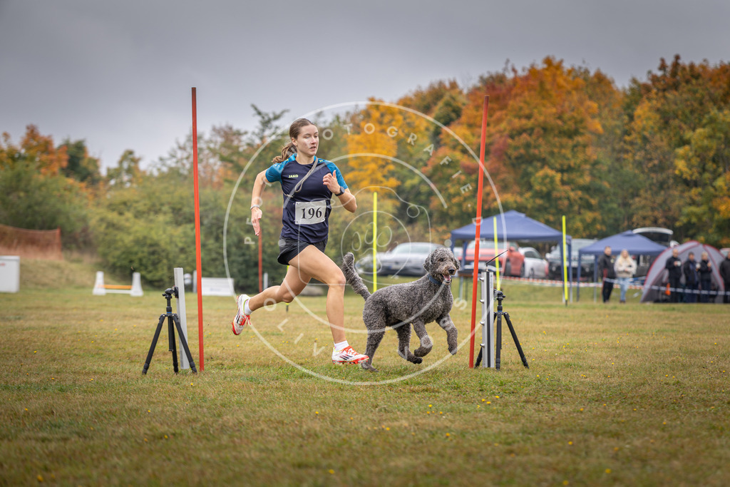 Pfotenfotografie_DV3A1065 | Hundefotografie, Tierfotograf, Pfotenfotografie, Fotoshooting Hund, Hunde Portrait, Hundesport, Hundeportraits, Heideshooting, Hunde, Sportfotograf, Hundefotograf, Turnierhundsport, THS,  - Realisiert mit Pictrs.com