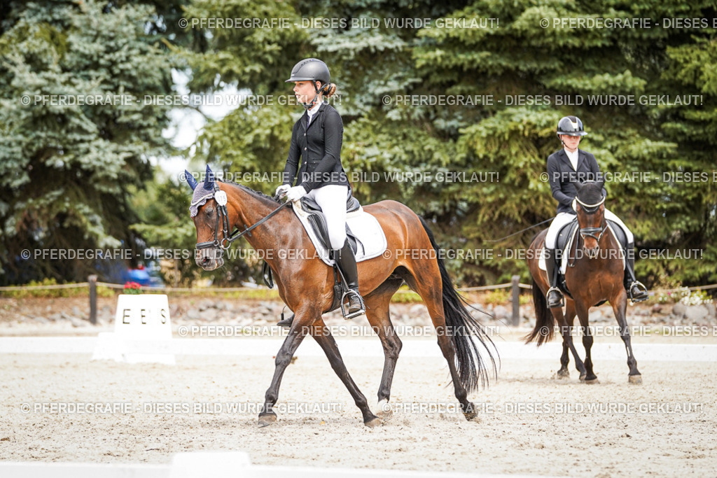 DSC04106 | Pferdegrafie