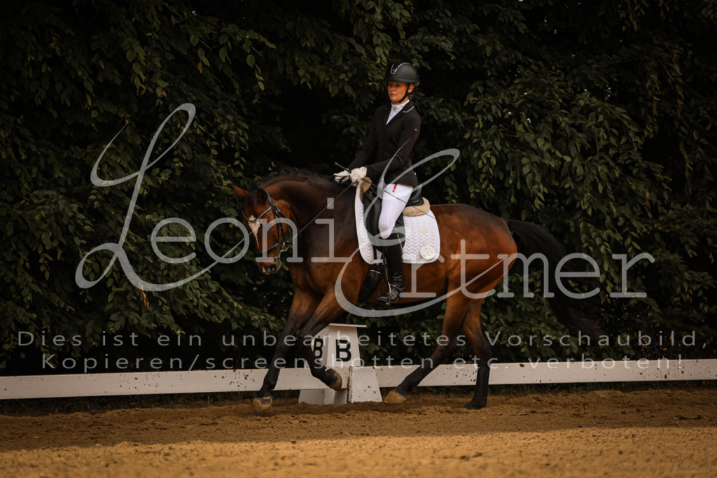 DoDrE00077 | Leoni Ertmer Photography - Realisiert mit Pictrs.com