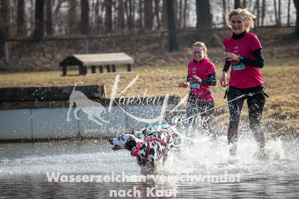 1113_ZZ93111 | kk-dogfotos