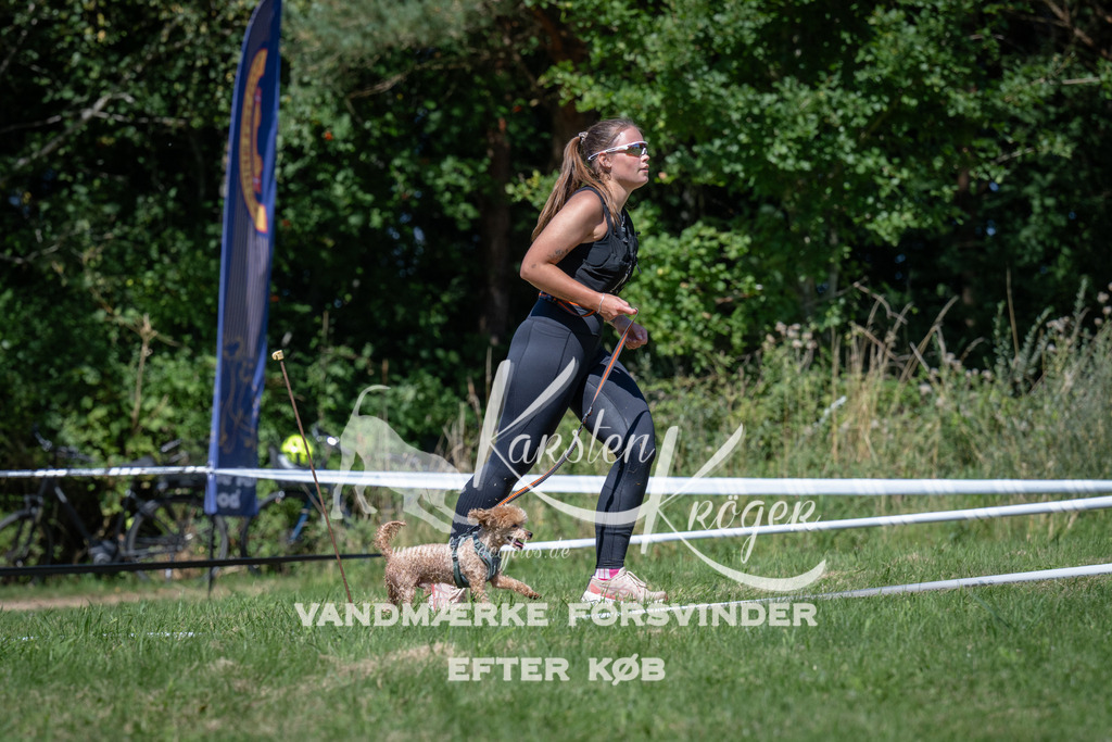 1255_ZZ97401 | kk-dogfotos