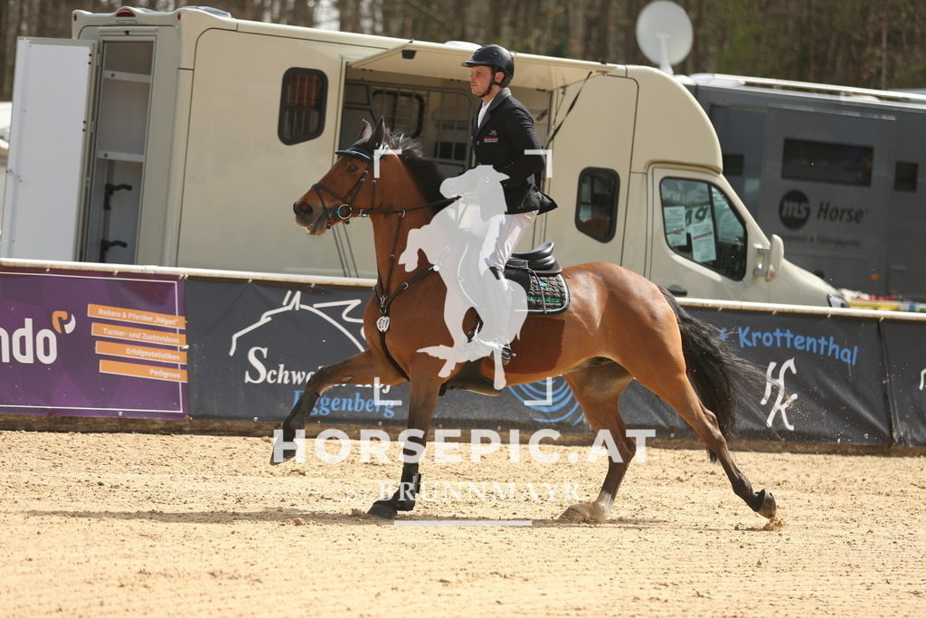 AS8V5324 | Willkommen bei Brunnmayr - Design & Fotografie – Ihrem Spezialisten für Reitturniere und Pferdeveranstaltungen in Oberösterreich, Salzburg und Bayern! Seit über 17 Jahren sind wir leidenschaftlich dabei.