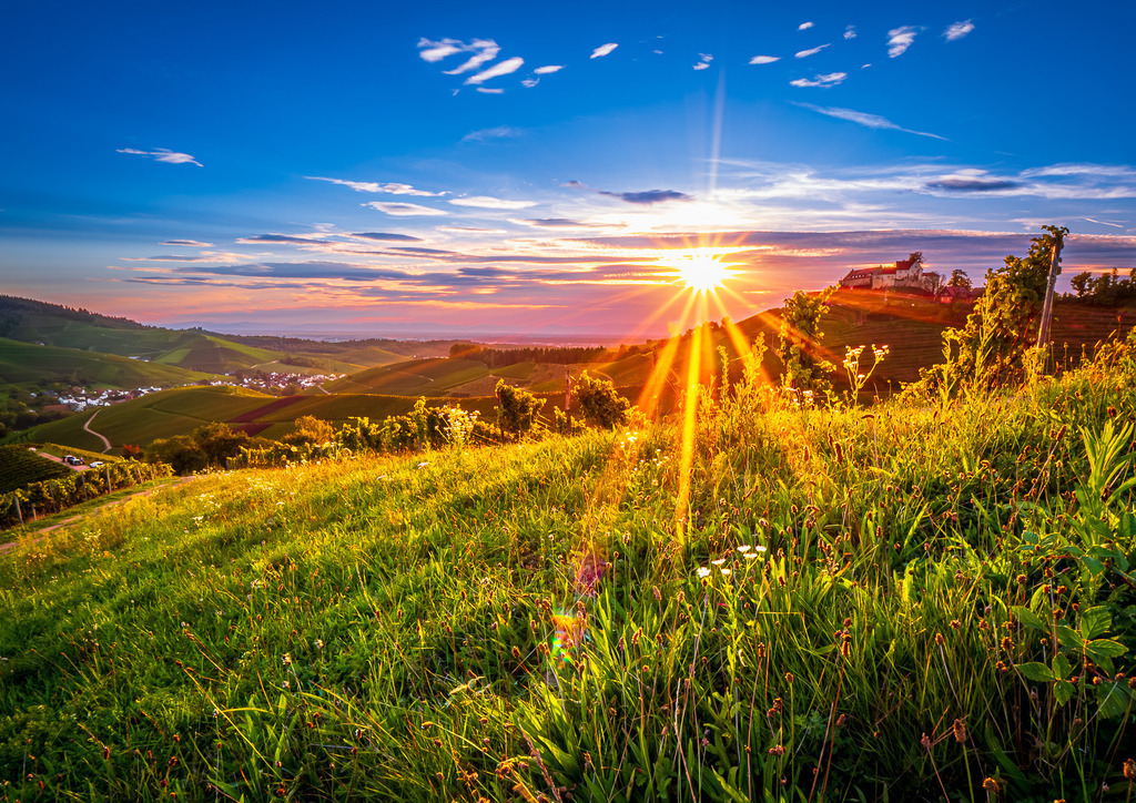MPI_Sehenswürdigkeiten_0037 | Sonnenuntergang im Weinberg mit dem Schloss Staufenberg in Durbach - Realisiert mit Pictrs.com