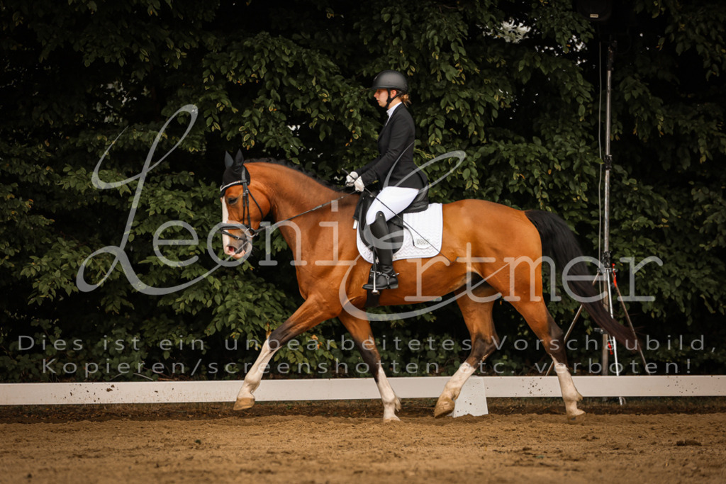 DoDrA00095 | Leoni Ertmer Photography - Realisiert mit Pictrs.com