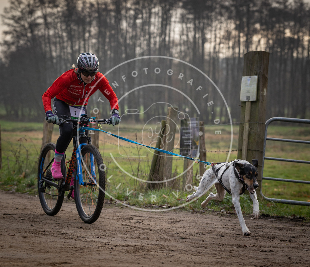 Pfotenfotografie_DV3A1479 | Hundefotografie, Tierfotograf, Pfotenfotografie, Fotoshooting Hund, Hunde Portrait, Hundesport, Hundeportraits, Heideshooting, Hunde, Sportfotograf, Hundefotograf, Turnierhundsport, THS,  - Realisiert mit Pictrs.com