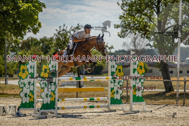 26-7-24 SPF M+-1103 | mandyhollmannphotographie