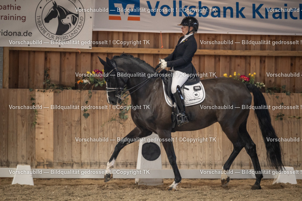 _D5A6361 | Emotionale Pferde- & People-Fotografie rund um Heidelberg, Leimen & Umgebung. Natürliche Fotos von Pferd, Mensch & Familie. Jetzt Termin sichern!