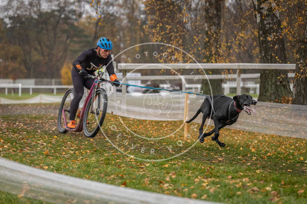 CaniXpix_DV3A7360 | Hundefotografie, Tierfotograf, Pfotenfotografie, Fotoshooting Hund, Hunde Portrait, Hundesport, Hundeportraits, Heideshooting, Hunde, Sportfotograf, Hundefotograf, Turnierhundsport, THS,  - Realisiert mit Pictrs.com