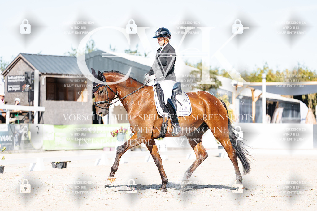CK908251 | Turnierfotografie Pferdefotografie Trier Rheinland-Pfalz Pferdesport Reitsport Tierfotografie Sportfotografie Pferdevideo Pferdevideografie Equestrianvideography equestrianphotography  - Realisiert mit Pictrs.com