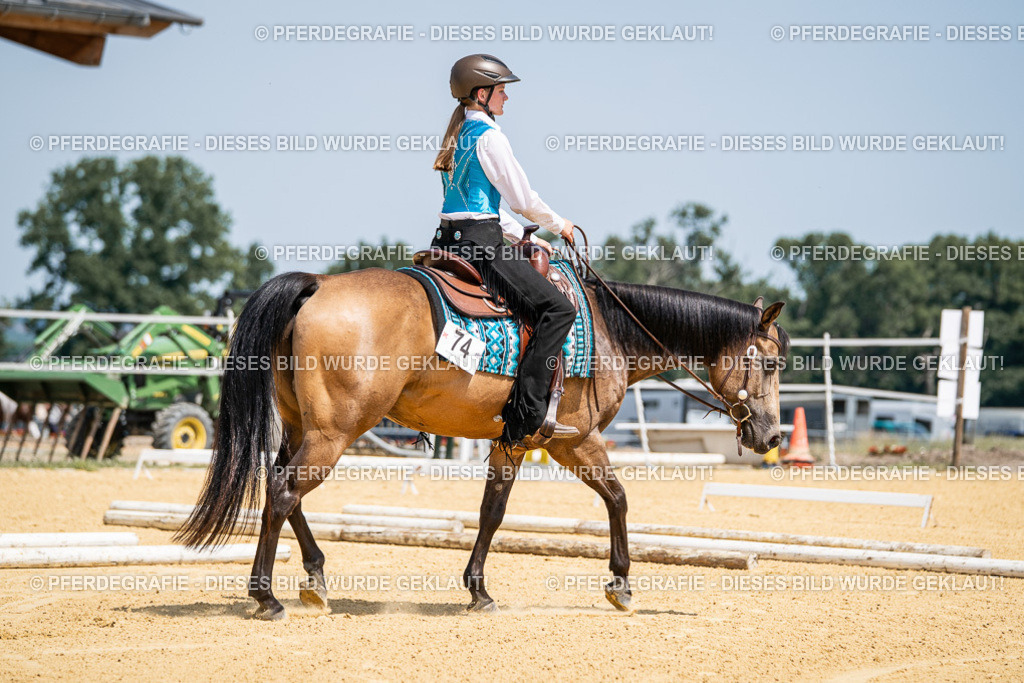 DSC00938 | Pferdegrafie