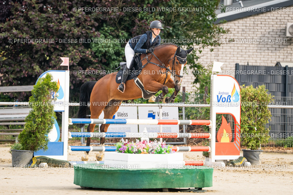 DSC08369 | Pferdegrafie