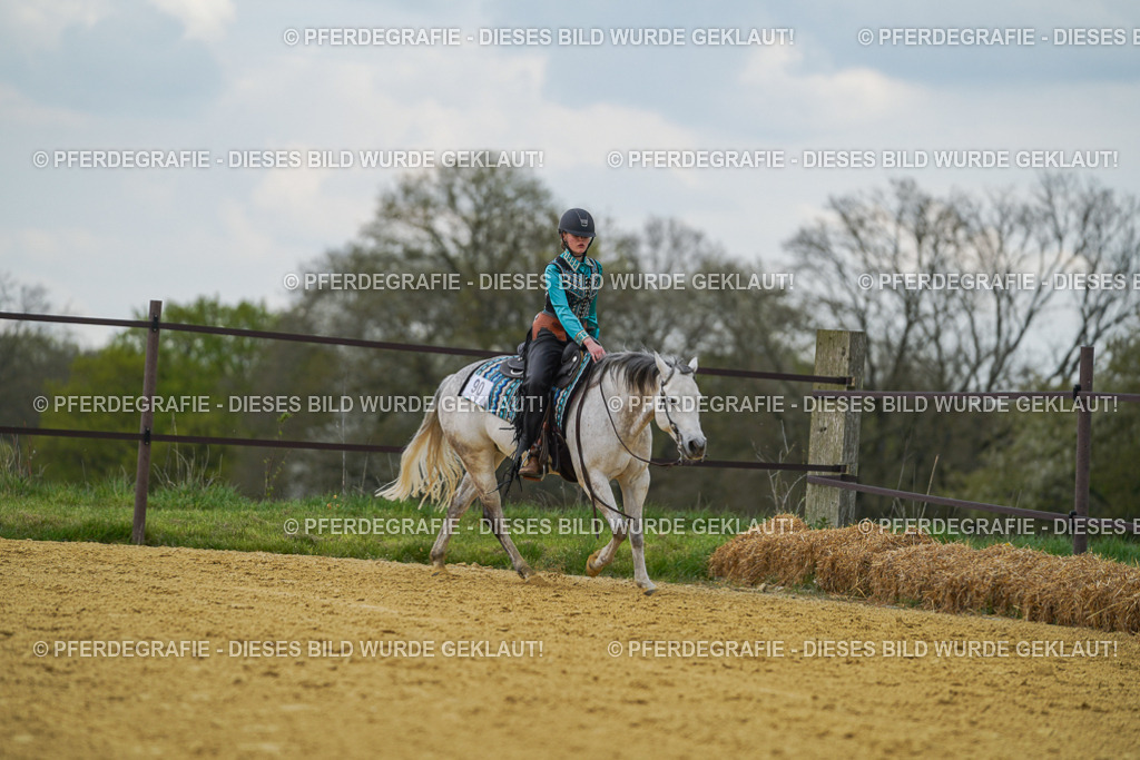 DSC06628 | Pferdegrafie