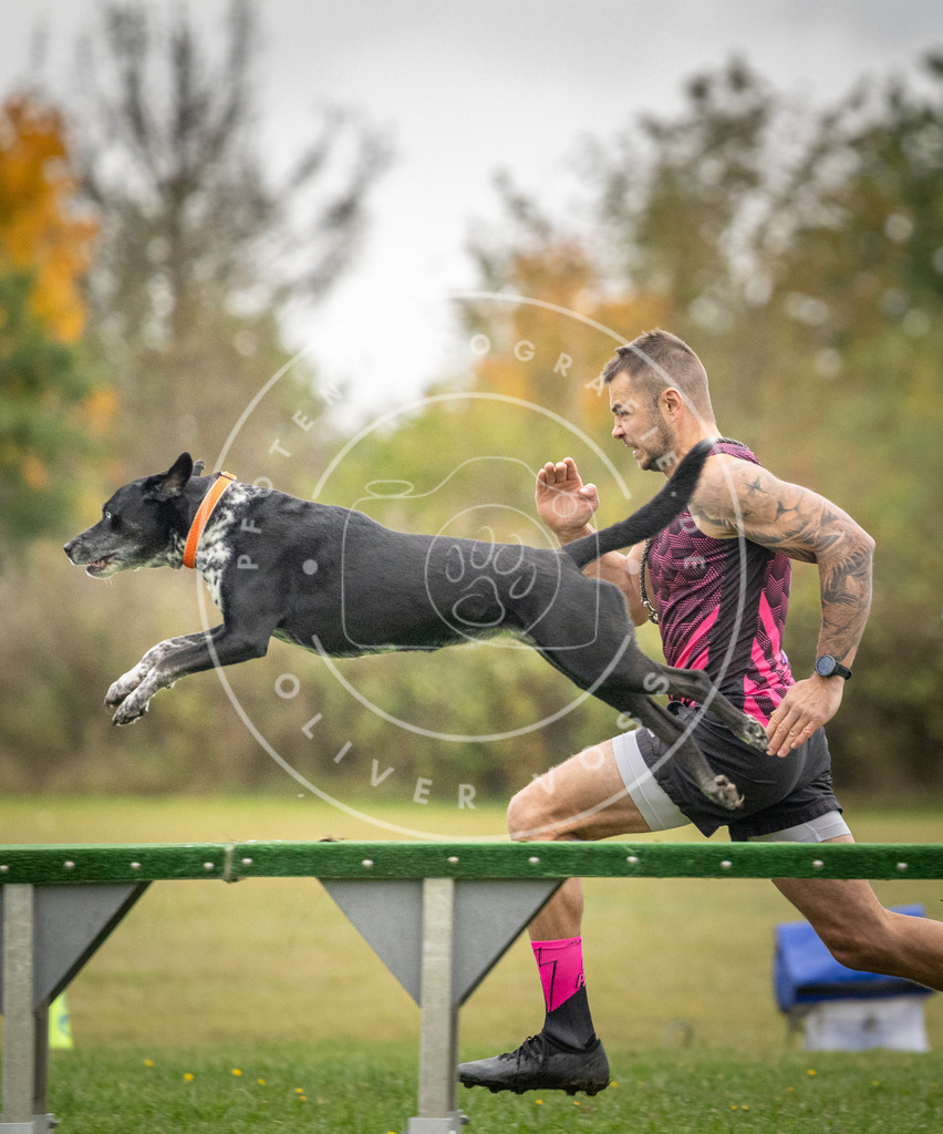 Pfotenfotografie_DV3A0281 | Hundefotografie, Tierfotograf, Pfotenfotografie, Fotoshooting Hund, Hunde Portrait, Hundesport, Hundeportraits, Heideshooting, Hunde, Sportfotograf, Hundefotograf, Turnierhundsport, THS,  - Realisiert mit Pictrs.com
