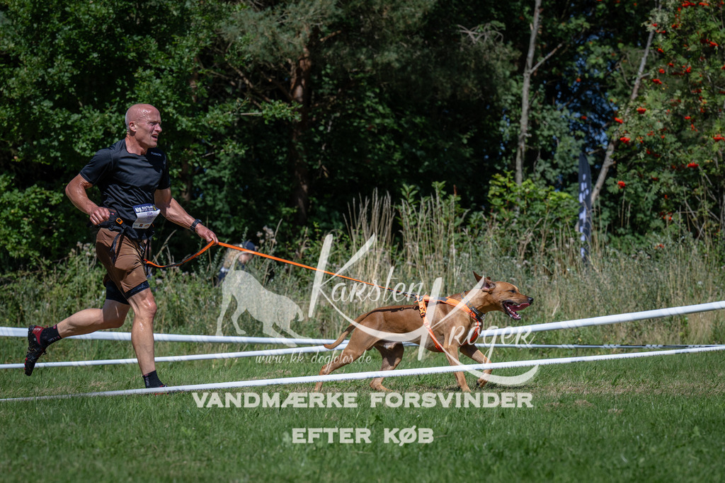 1242_ZZ96295 | kk-dogfotos