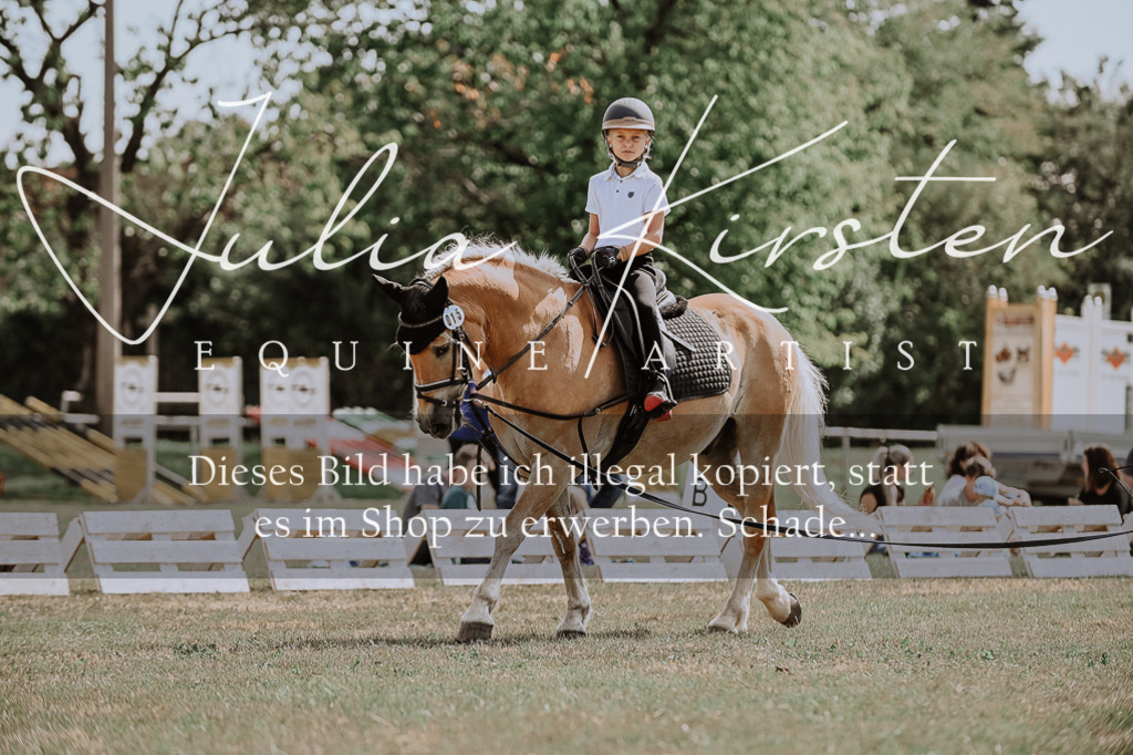 DSC_7736 | Pferde- und Turnierfotografie in Westsachsen. Pferdeportraits, Auftragszeichnungen und intuitive Kunst.