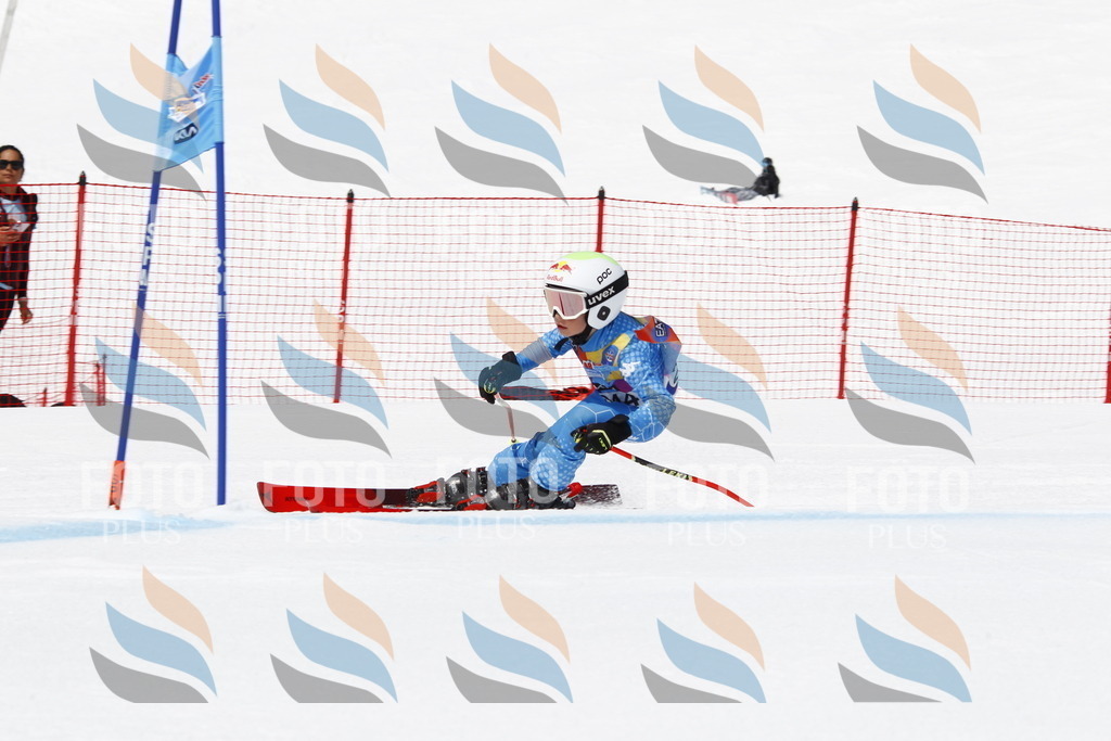 _U3G6183 | holidayphoto