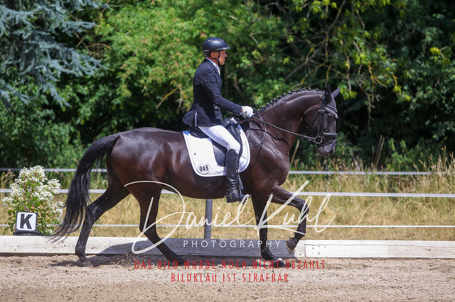 DKP46463 | Turniersportfotografie; Pferdefotografie; Dressurfotografie