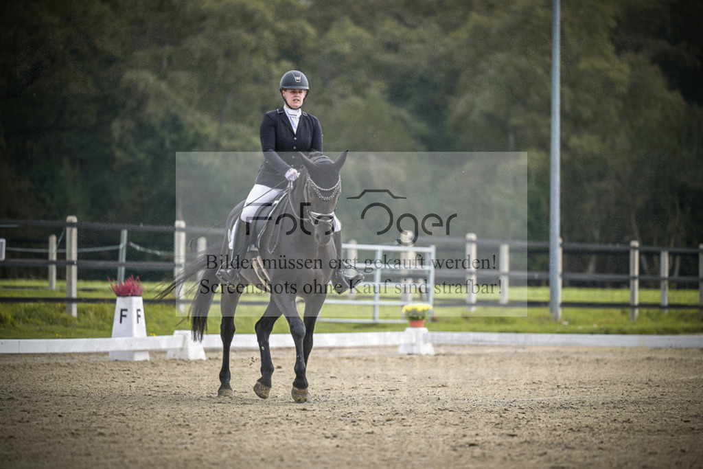 DOS_B499 | Entdecke hochwertige Reitturnierfotos von Foto Oger. Professionell, emotional und authentisch – jetzt Lieblingsmomente im Shop bestellen.Deutschlandweite Turnierfotografie. - Realisiert mit Pictrs.com