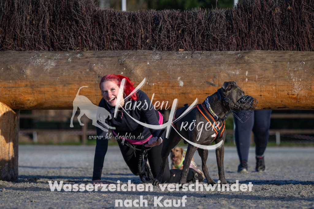 0939-94333 | kk-dogfotos