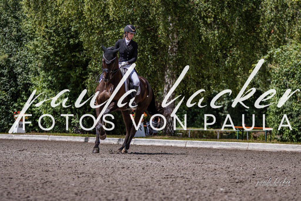 IMG_8269 | Erleben Sie dynamische Sport- und emotionale Tierfotografie in Süddeutschland mit Fotos von Paula. Spezialisiert auf Pferde- und Hundefotografie sowie Sportevents. Kontaktieren Sie mich für einzigartige und ausdrucksstarke Bilder Ihrer besonderen Momente. - Realisiert mit Pictrs.com