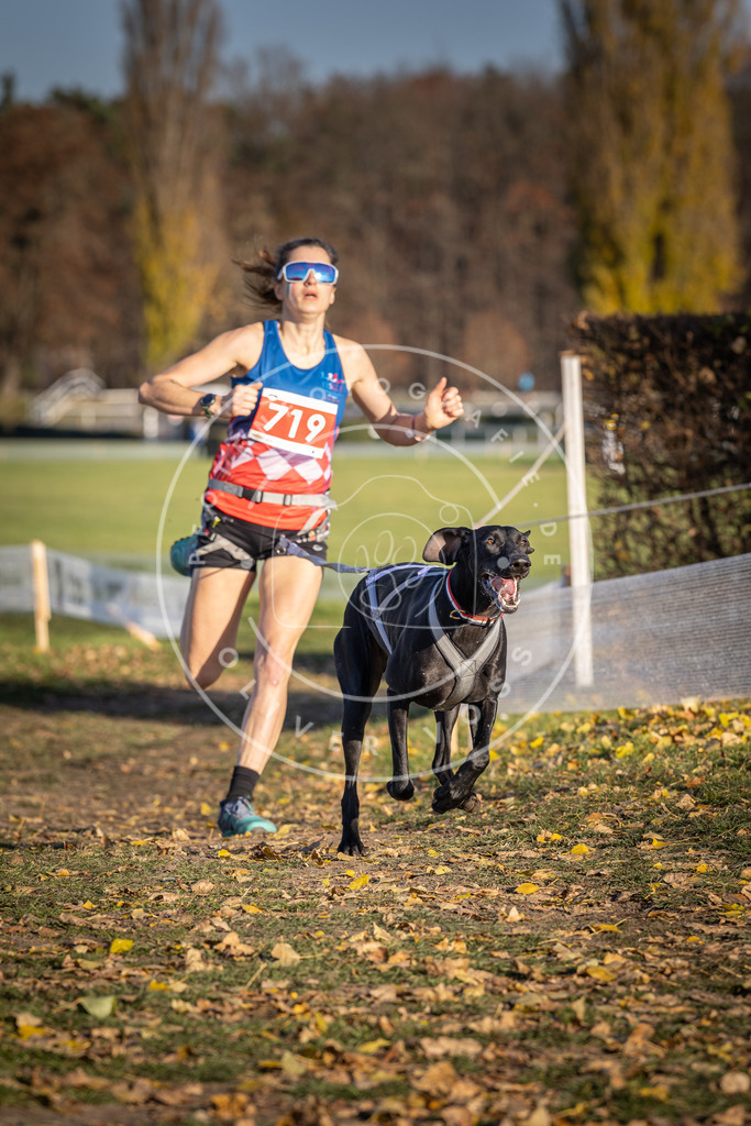 CaniXpix_DV3A1816 | Hundefotografie, Tierfotograf, Pfotenfotografie, Fotoshooting Hund, Hunde Portrait, Hundesport, Hundeportraits, Heideshooting, Hunde, Sportfotograf, Hundefotograf, Turnierhundsport, THS,  - Realisiert mit Pictrs.com