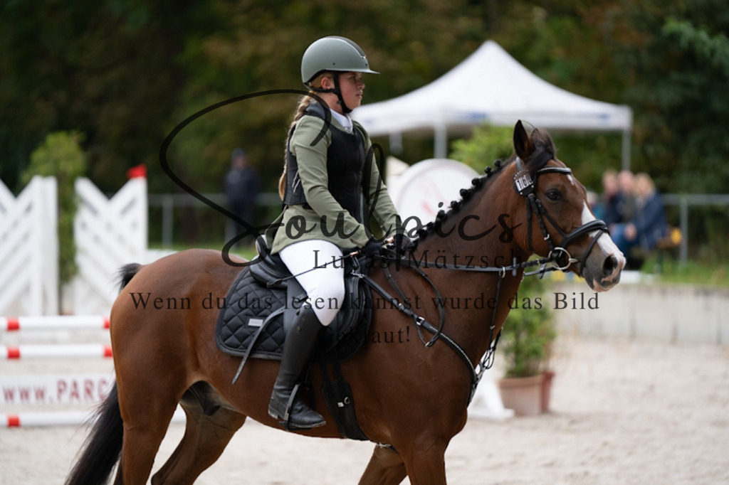 A7V09658 | Pferdefotograf