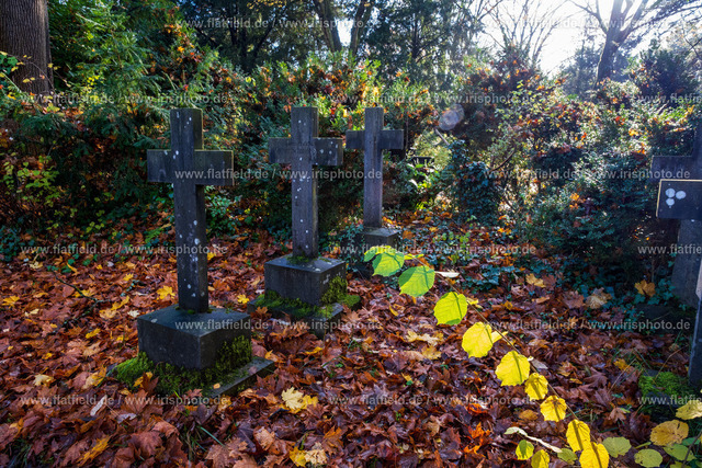 Drei Grabkreuze im bunten Herbstlaub | Grab auf dem Frankfurter Zentralfriedhof