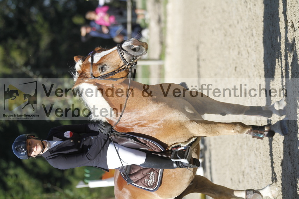 _MG_4375 | equestrian-live-com