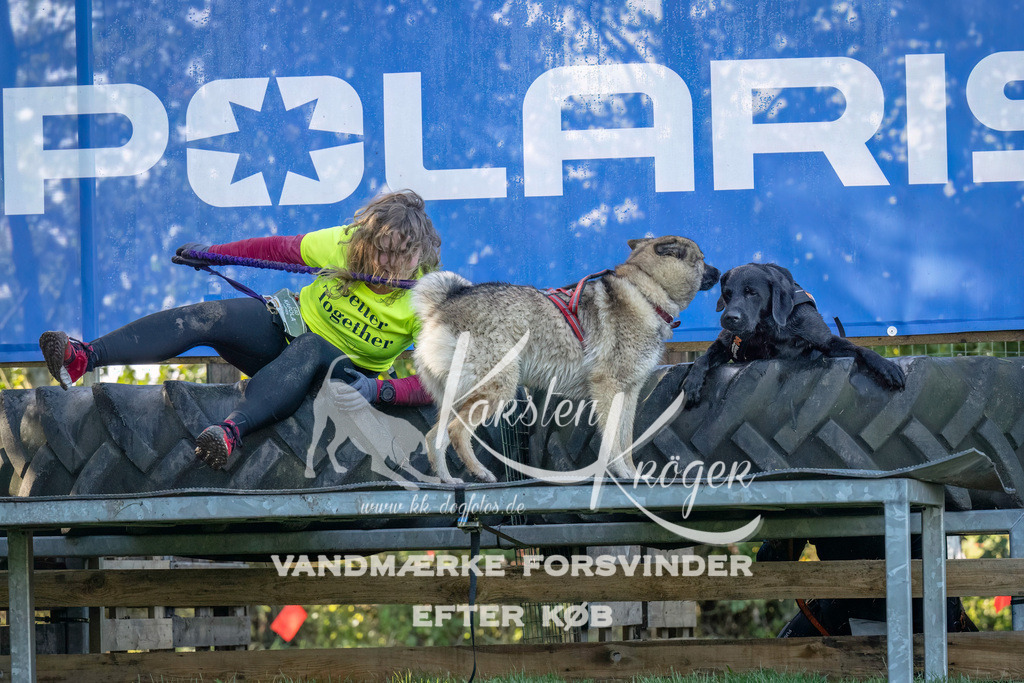 1044--5 | kk-dogfotos