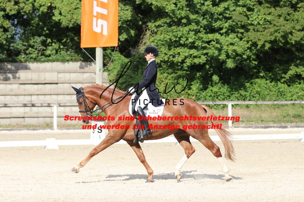 IMG_6465 | lmwpictures - Realisiert mit Pictrs.com