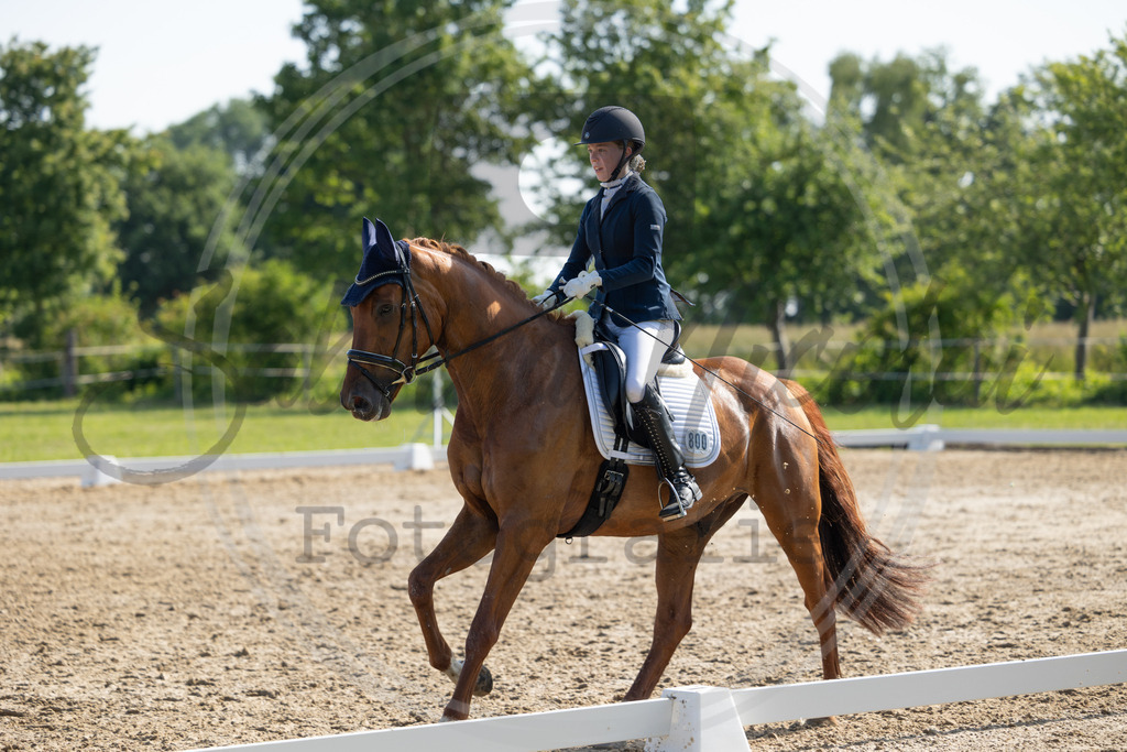 994A4317 | sabrinanicolaifotografie - Realisiert mit Pictrs.com