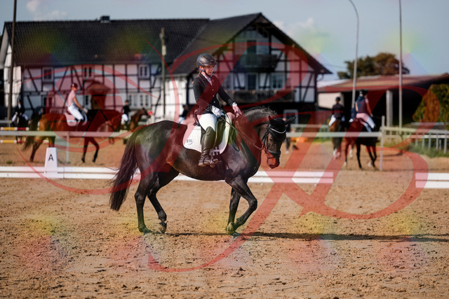 2026_10_03_Siefer-Hof_121706_Z63_40686324 | Professionelle Reitsport-, Turnier- und Eventfotografie von Robert Broda. Galerien mit ausgewählten und bearbeiteten Bildern direkt online ansehen und bestellen.