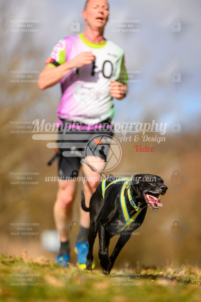MompixPhotography_10Schwabentrail2026_SO_Canicross-24 | PayLife