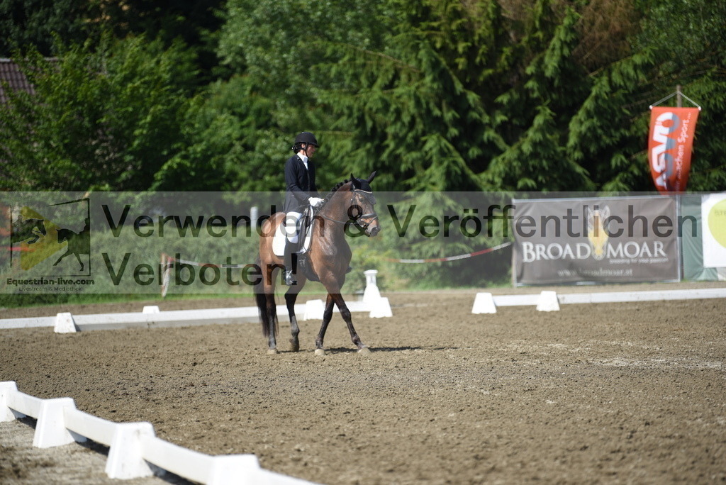 DSC_0073 | equestrian-live-com