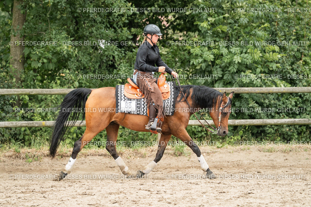 DSC04404 | Pferdegrafie