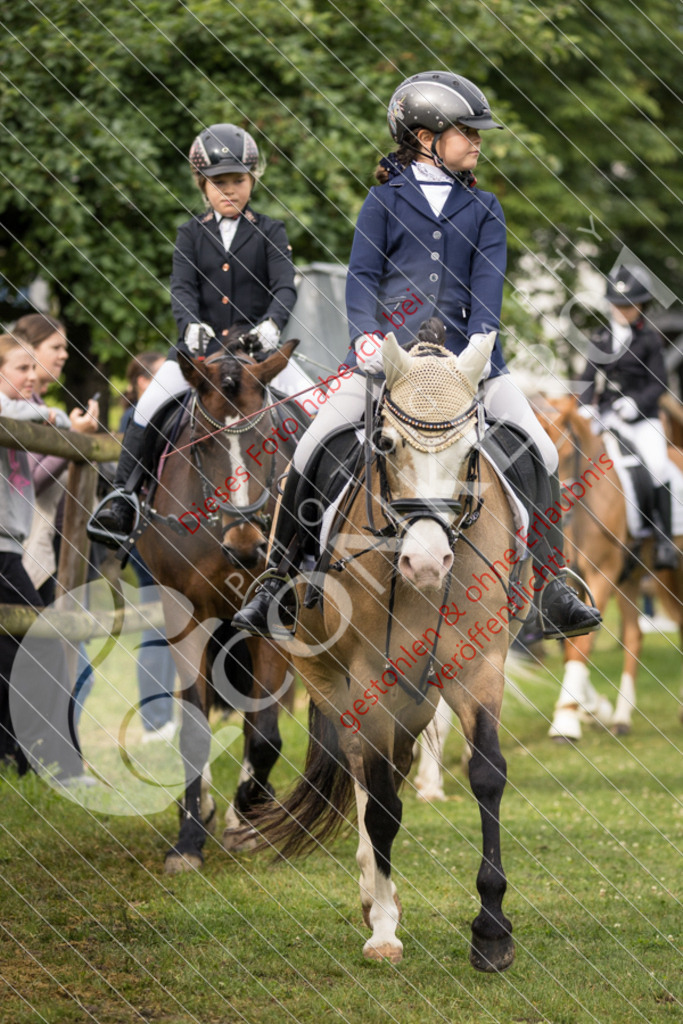 IMG_1582 | Sport-, Event- und Tierfotos in Profiqualität. Einfach auswählen, bestellen und herunterladen. Dein Moment – perfekt festgehalten.