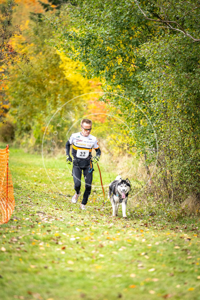 Pfotenfotografie_DV3A1932 | Hundefotografie, Tierfotograf, Pfotenfotografie, Fotoshooting Hund, Hunde Portrait, Hundesport, Hundeportraits, Heideshooting, Hunde, Sportfotograf, Hundefotograf, Turnierhundsport, THS,  - Realisiert mit Pictrs.com