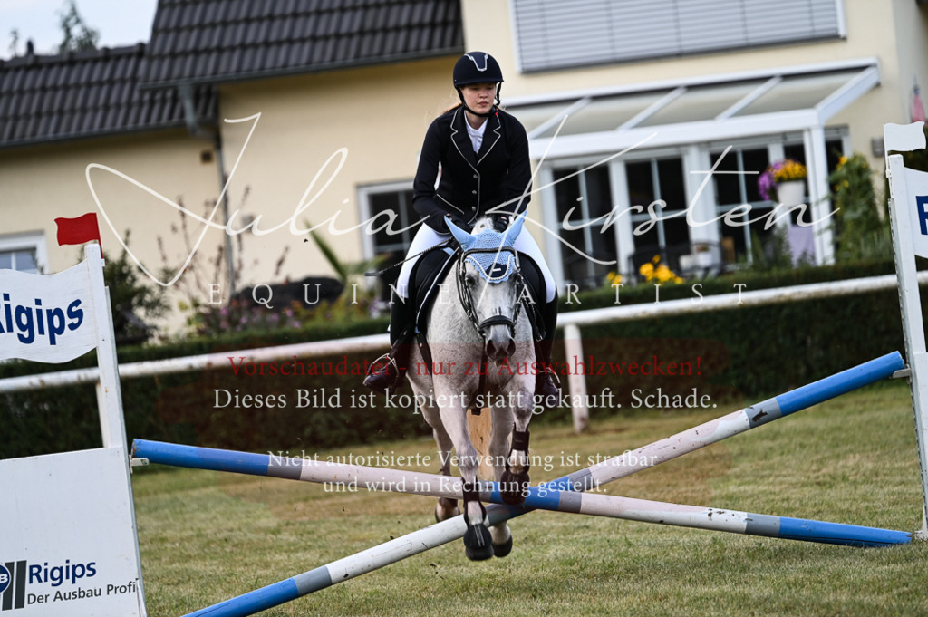 DSC_5534 | Pferde- und Turnierfotografie in Westsachsen. Pferdeportraits, Auftragszeichnungen und intuitive Kunst.