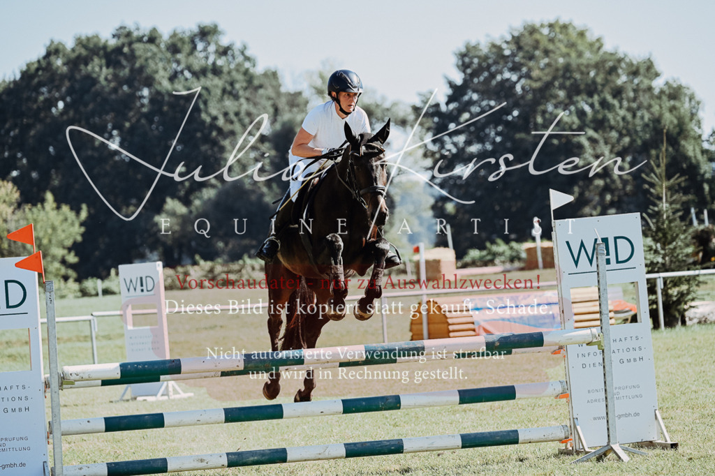 DSC_5675 | Pferde- und Turnierfotografie in Westsachsen. Pferdeportraits, Auftragszeichnungen und intuitive Kunst.