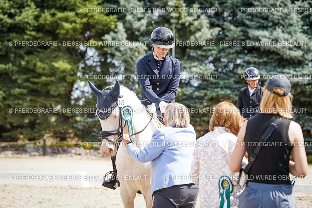 DSC02289 | Pferdegrafie