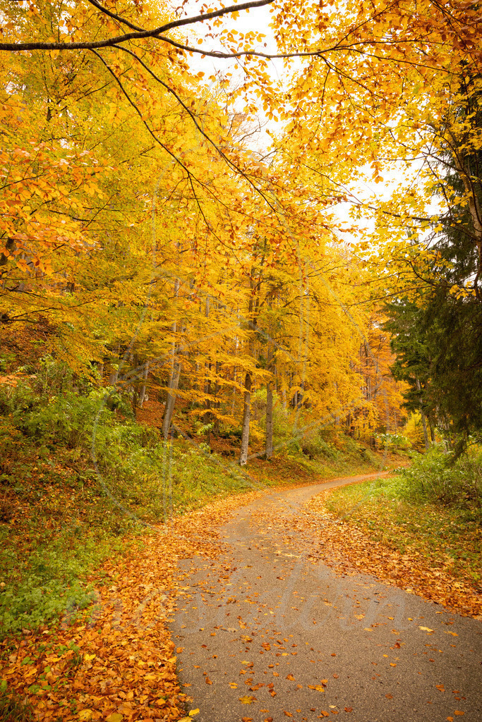 Herbst Gaming | Ihre Fotografin im Lungau, ihre Fotografin im Mostviertel, Wandbilder Onlineshop, Imagefotos für Ihr Unternehmen,  - Realisiert mit Pictrs.com