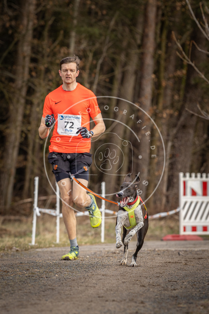 DV3A3644 | Hundefotografie, Tierfotograf, Pfotenfotografie, Fotoshooting Hund, Hunde Portrait, Hundesport, Hundeportraits, Heideshooting, Hunde, Sportfotograf, Hundefotograf, Turnierhundsport, THS,  - Realisiert mit Pictrs.com