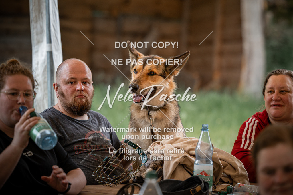 nelerasche_So-abschied_55 | nelerasche