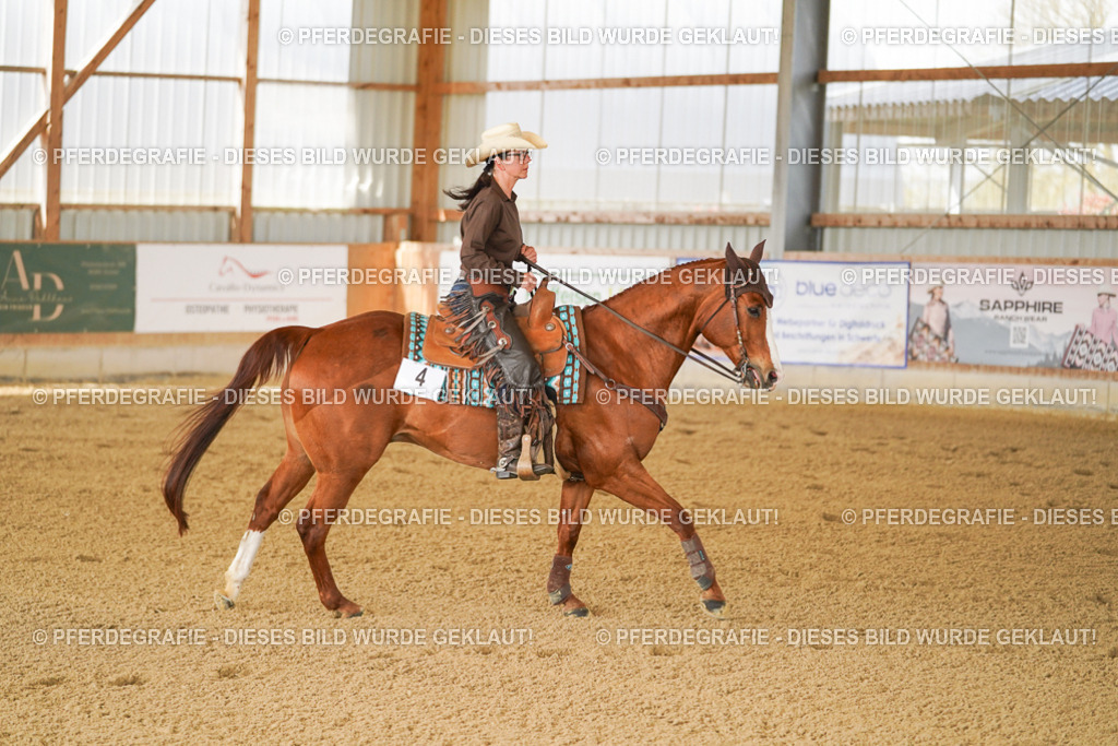 DSC02642 | Pferdegrafie