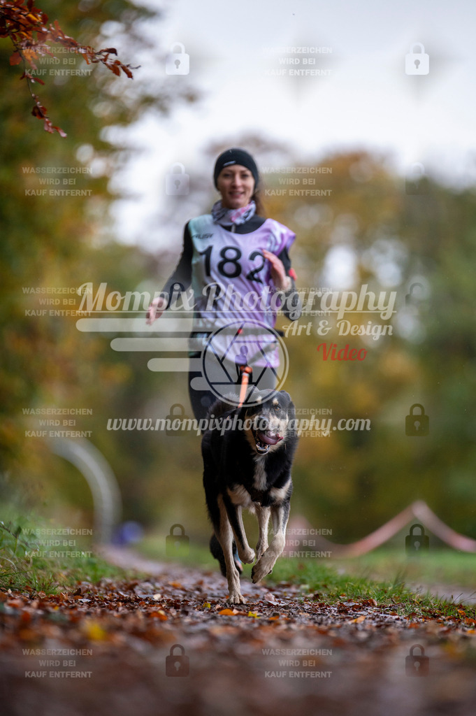 DBT_DAKM_SA_4_11_2023_Canicross-20 | PayLife