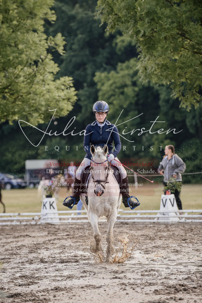 DSC_7974 | Pferde- und Turnierfotografie in Westsachsen. Pferdeportraits, Auftragszeichnungen und intuitive Kunst.