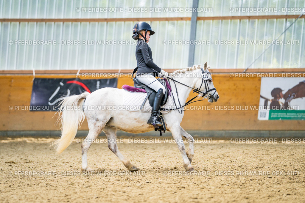 DSC05010 | Pferdegrafie