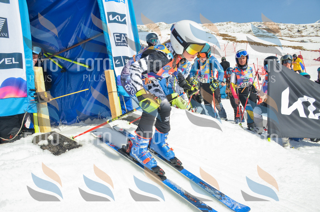 _ELE5770 | holidayphoto