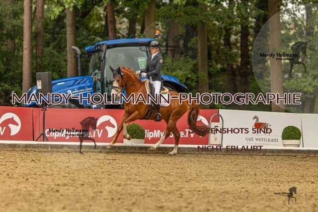 28-8-26 5j DRE-1010 | mandyhollmannphotographie