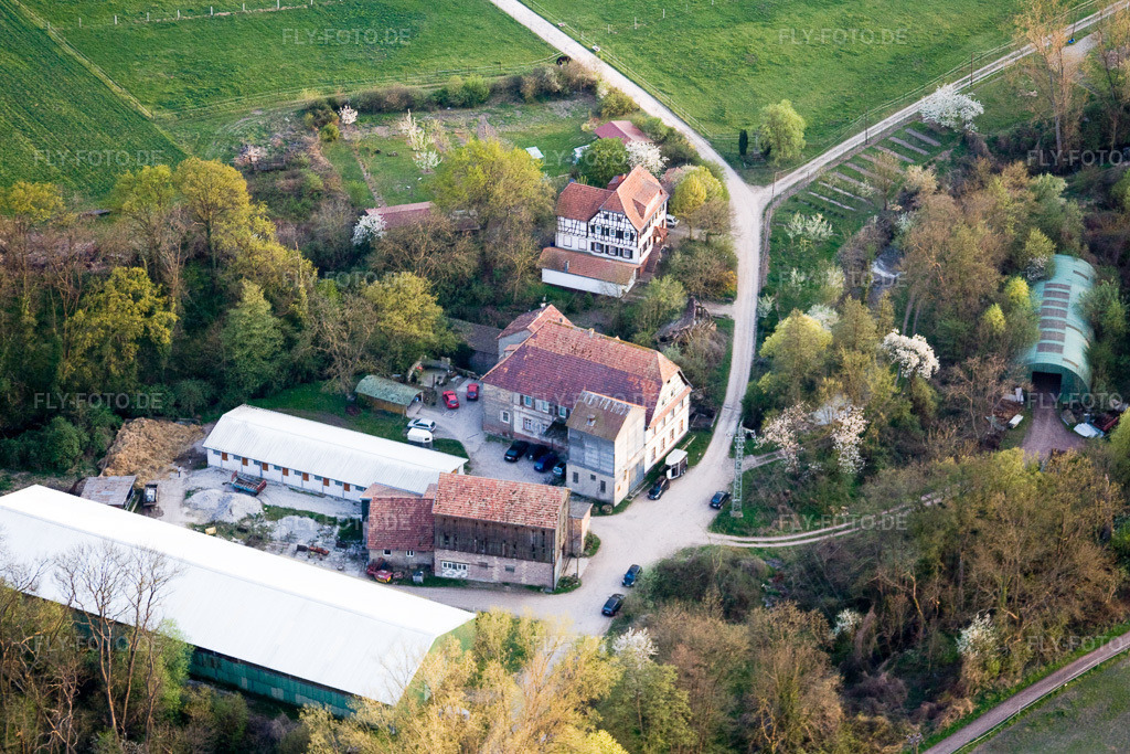 Luftbild: Wanzheimer Mühle in Rheinzabern im Bundesland Rheinland-Pfalz in Deutschland. Foto: IMG_17606.jpg vom 10.04.2009 durch Werner Riehm/FLY-FOTO.de